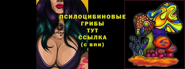 гашик Абдулино