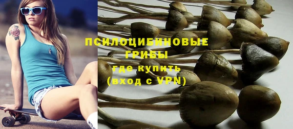 гашик Абдулино