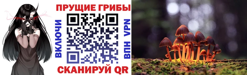 Псилоцибиновые грибы Psilocybine cubensis  Далматово 